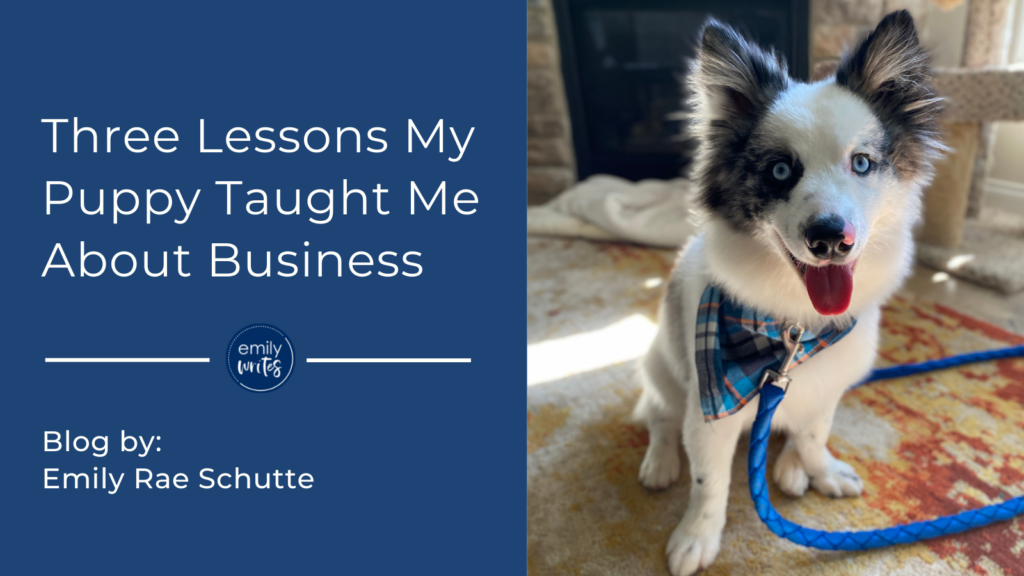 Three Lessons My Puppy Taught Me About Business