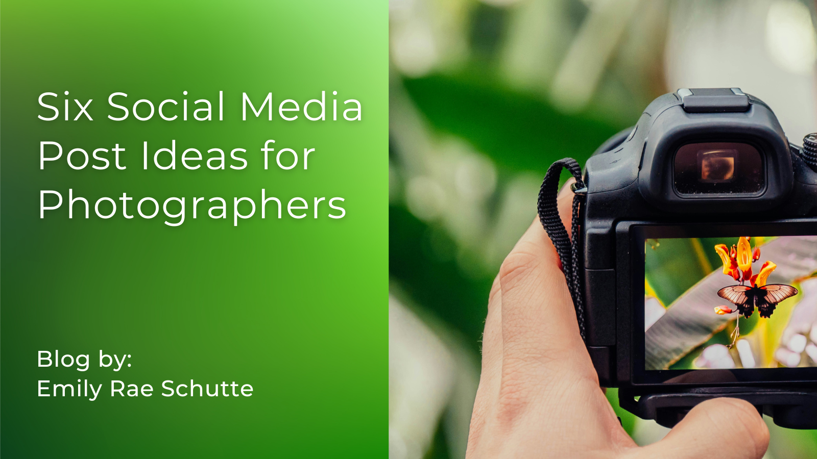 Six Social Media Post Ideas for Photographers